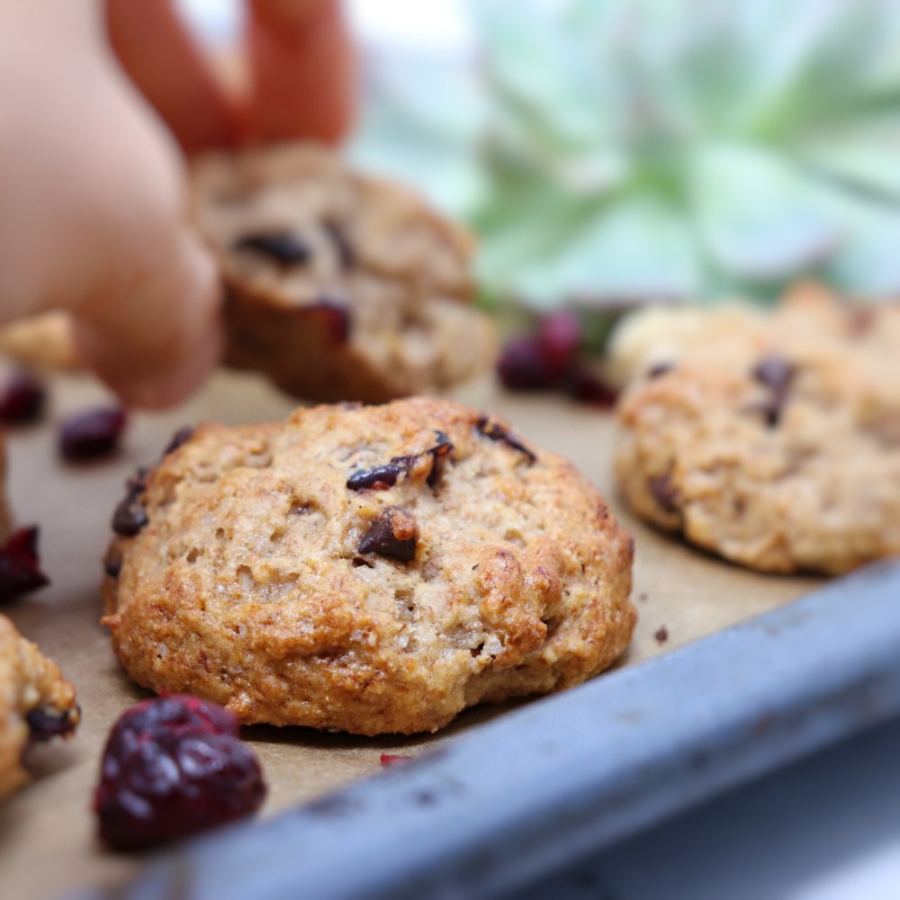 Biscotti mirtilli rossi e banana con farina di farro